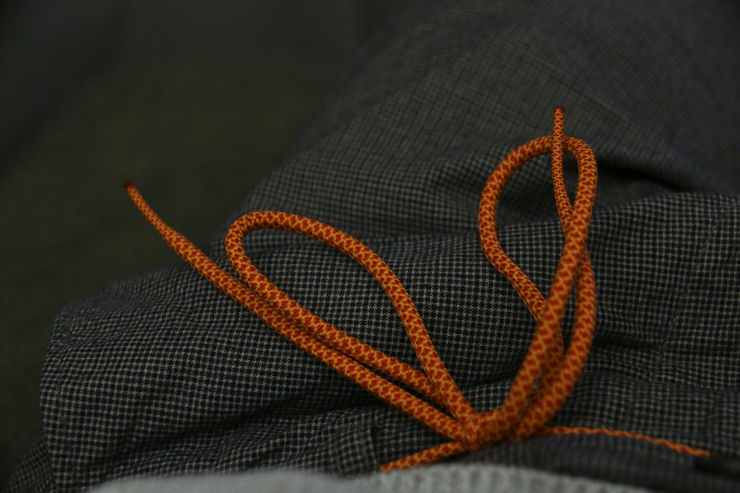 orange pipe fish lace